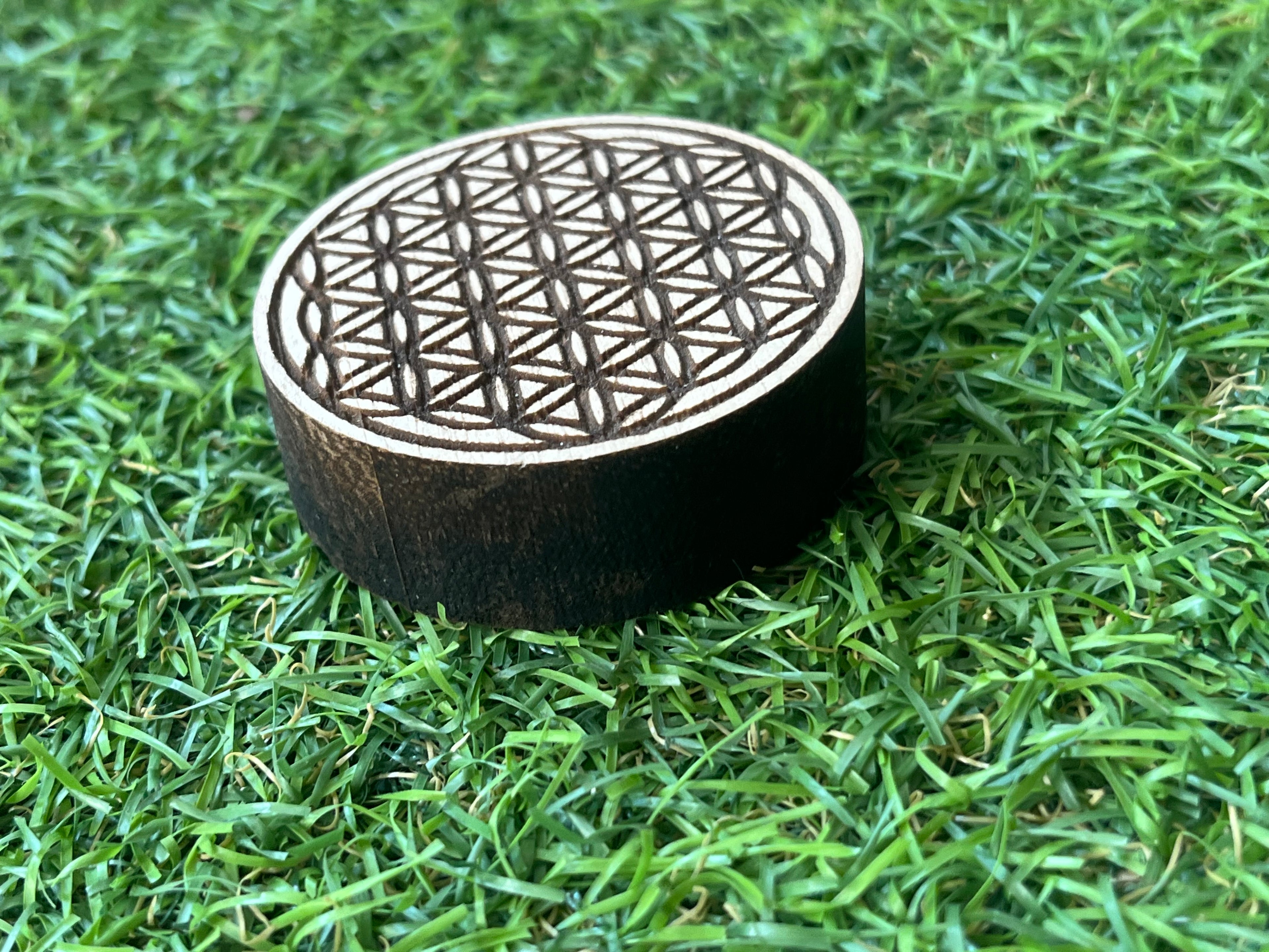 Mini-Lebensblume auf Holz