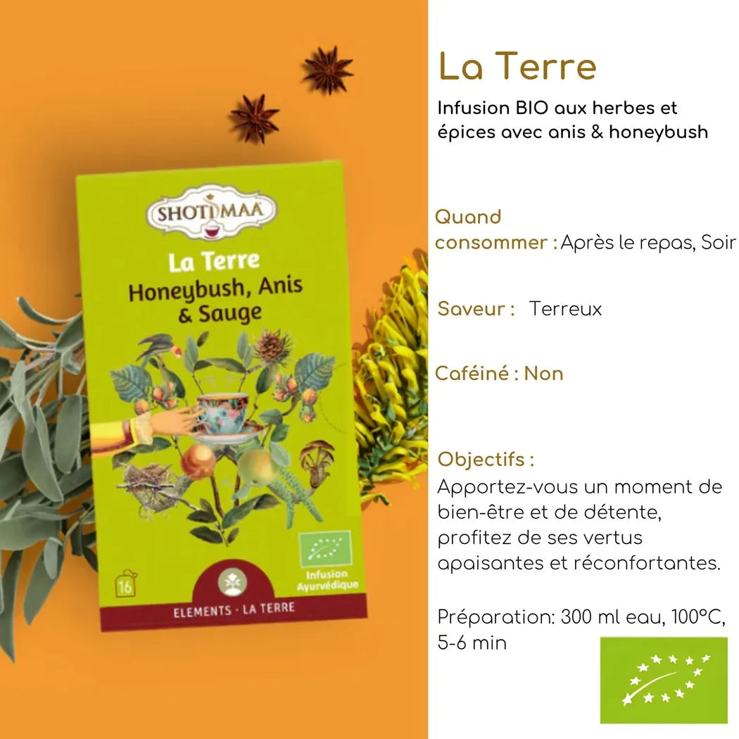 Infusion Tisane Bio Gamme Éléments de la Nature – Infusions Bien-Être Inspirées des 5 Éléments pour Équilibre et Vitalité