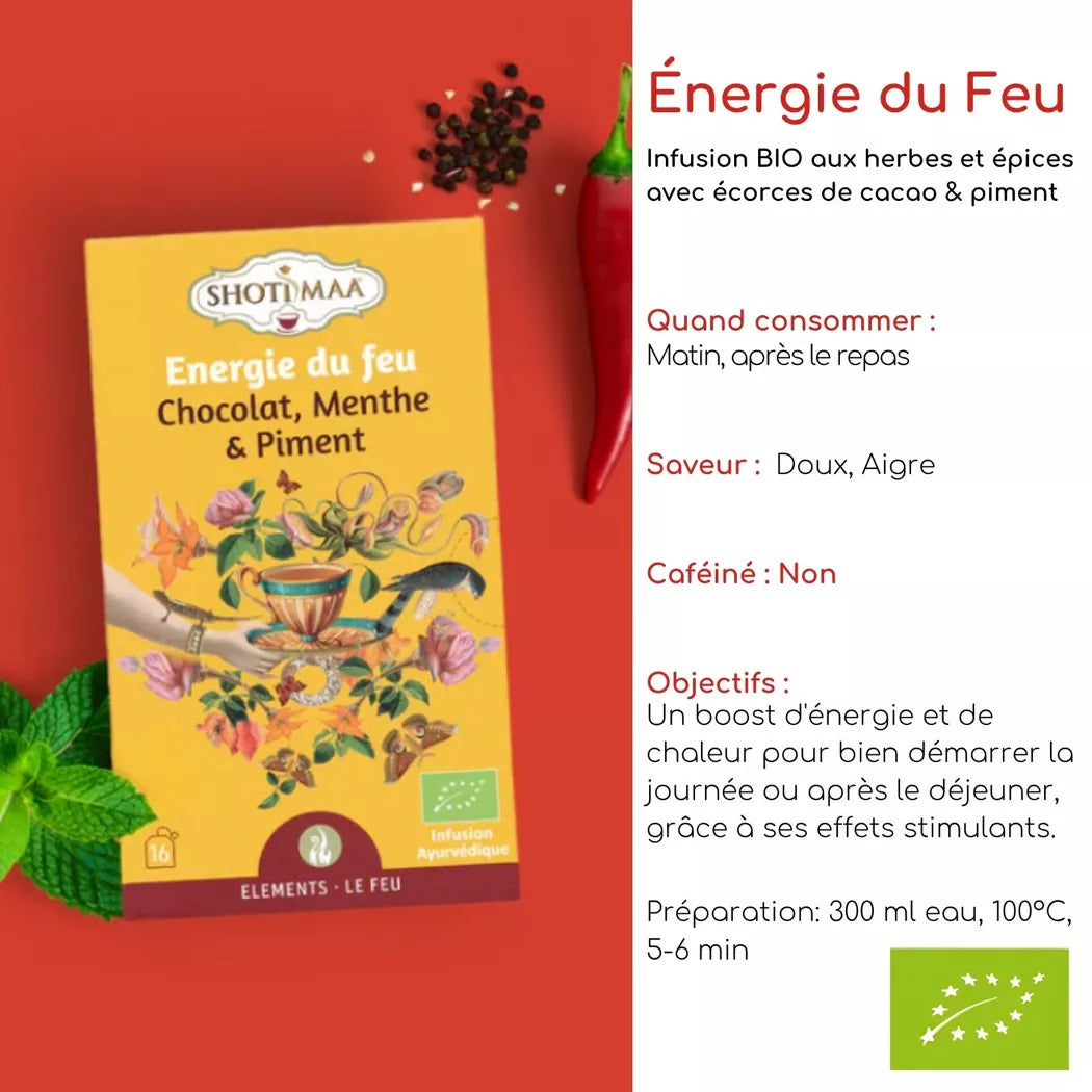 Tisane Bio Infusions Bien-Être Énergie du Feu pour Équilibre et Vitalité -