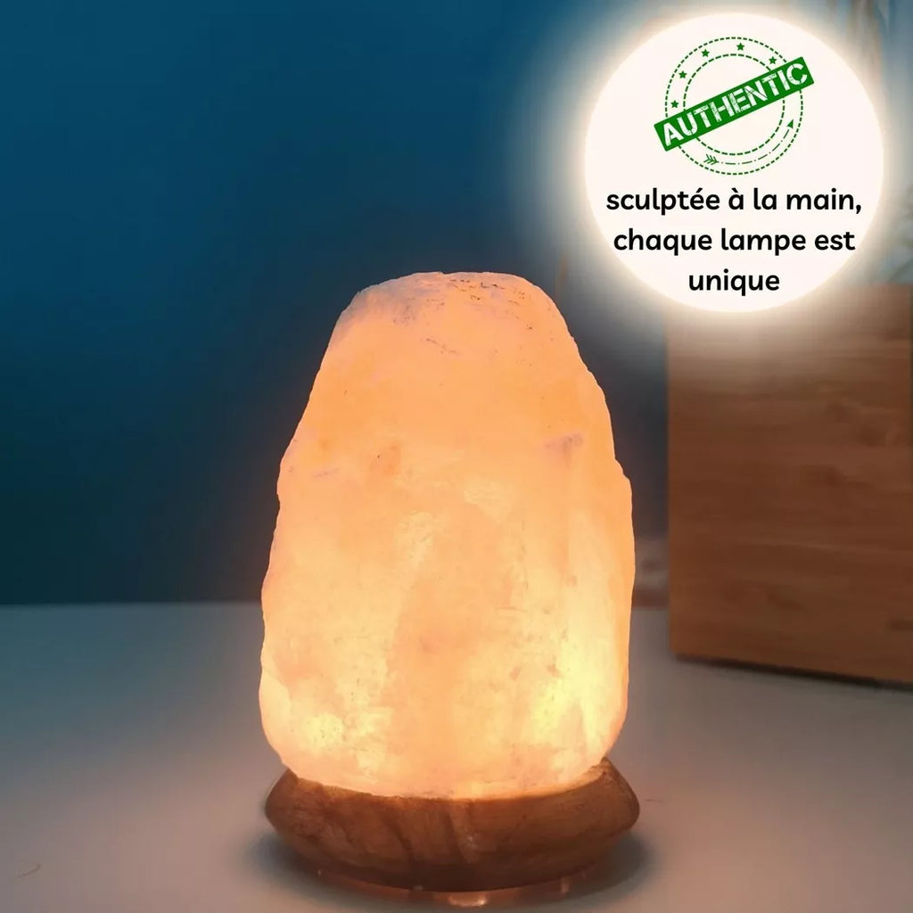 Himalaya Salz Kristalllampe – USB Salzlampe – Natürliche Form 600g