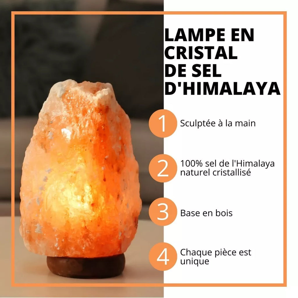 Himalaya Salz Kristalllampe – USB Salzlampe – Natürliche Form 600g